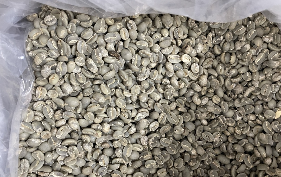 Da Lat Vietnamese green arabica