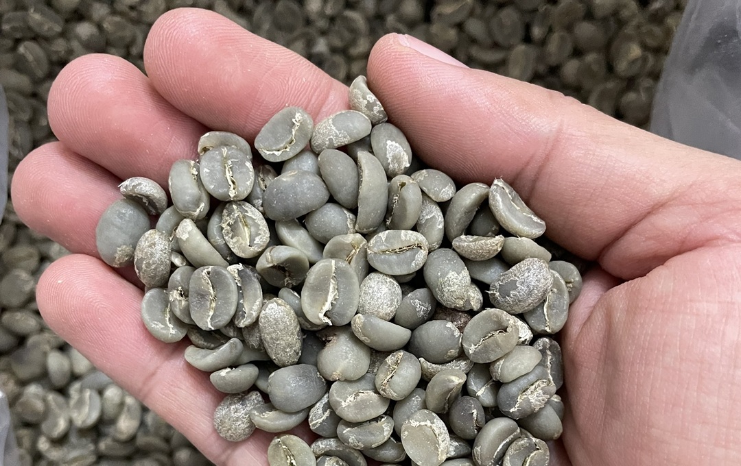 Vietnamese Arabica Coffee Da Lat