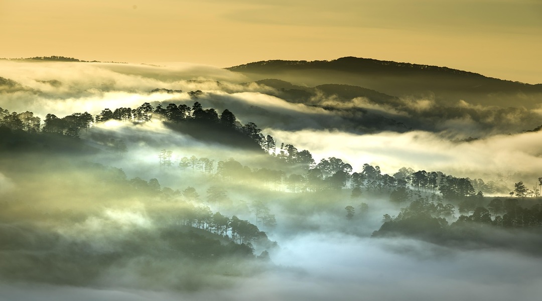Da Lat, Vietnam, by Quang Praha